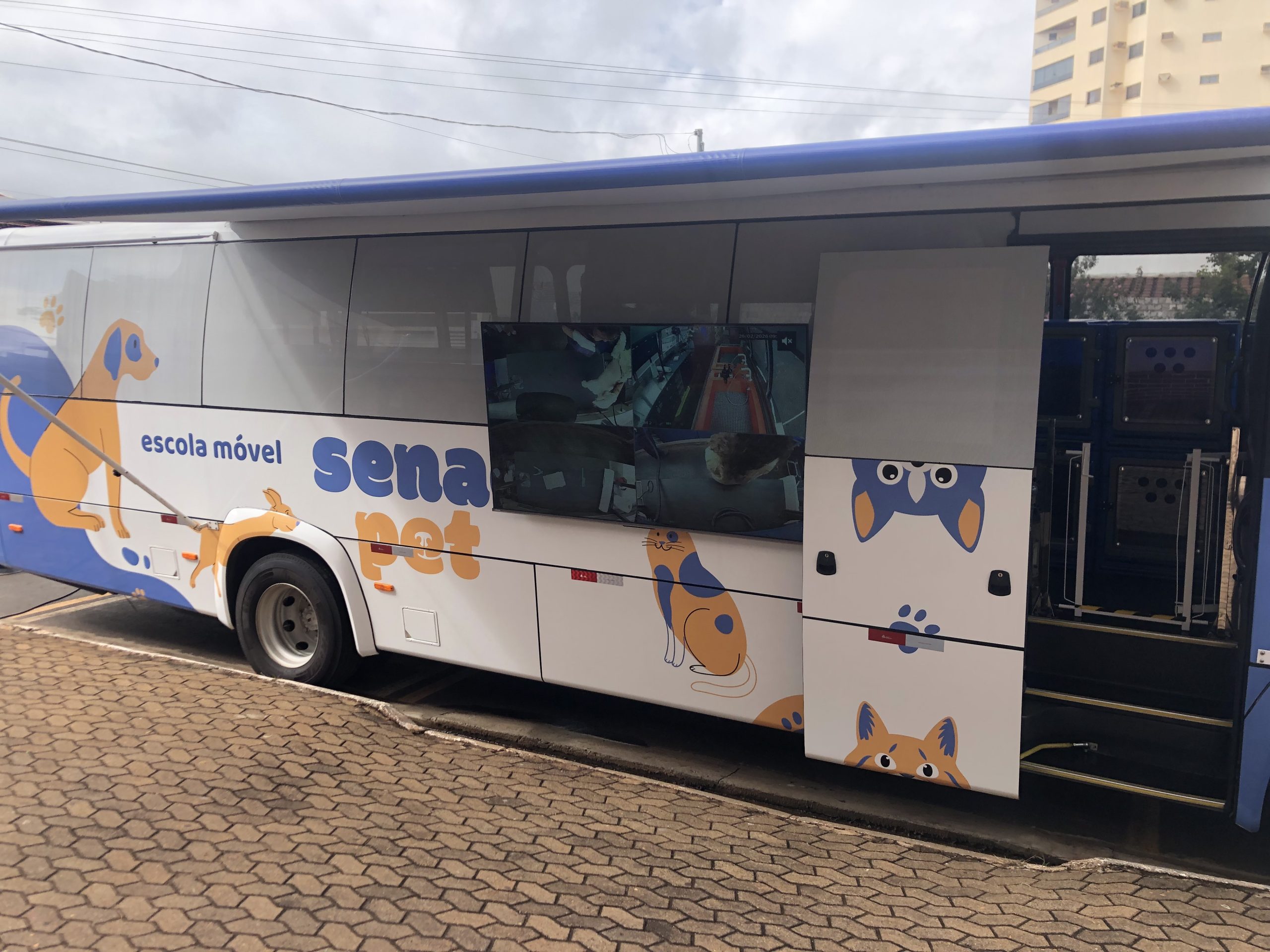 Senac e Prefeitura de Jataí lançam curso na área pet, com foco em gerar oportunidades